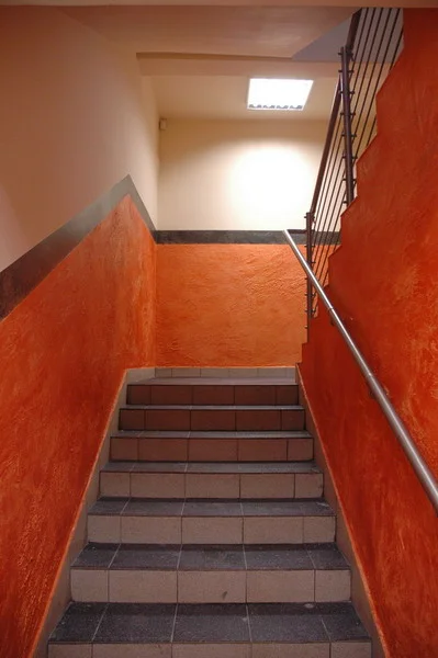 Zdjęcie z galerii